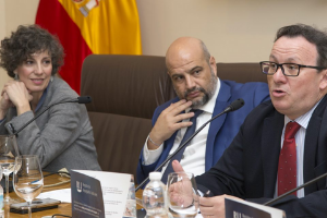 vicente-olmos-opinion-rij